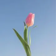 30HOME✌️の画像