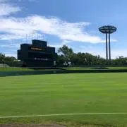 tckms474の画像