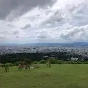にょ