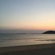 ノコノコの画像