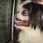 なぽぅ