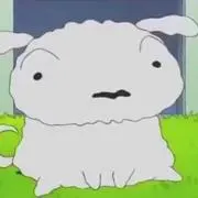 ゆぅ
