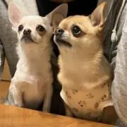 たろ