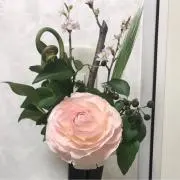 さやの画像