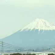 花子の画像