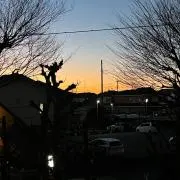 たんきーの画像
