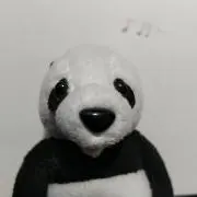 ※発送8/19〜 気まぐれPANDA☆の画像