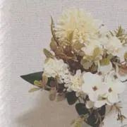 あおの画像