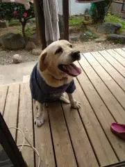 たかなみんの画像