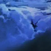 たかせ