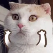 ENの画像