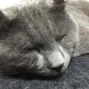 たくみん