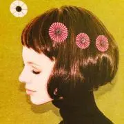 ひまわり / プロフお読みくださいの画像