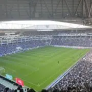 チェルサポの画像