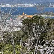 レオの画像