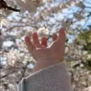 チビチロ