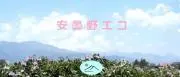 azuminoエコの画像