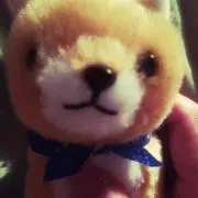 赤柴ちゃん プロフ必ずご覧下さい❗️