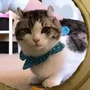 ひろさんの画像
