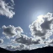 みいの画像