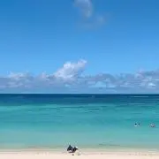 ことるの画像