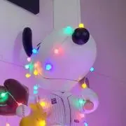 Nikoの画像