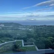 りいの画像