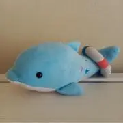 ちわちゃんの画像