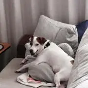 みな
