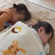 こよの画像