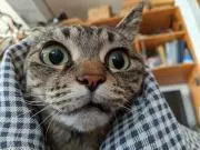 るっちゃんの画像