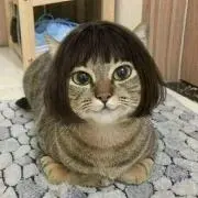 あきちゃん