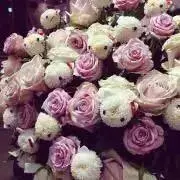 ❁ toi ❁の画像