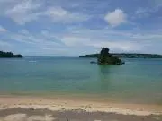 ソイの画像