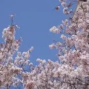 光kouの画像