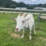 みなみの画像