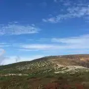 60の画像