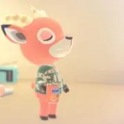 yoco