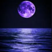 十六夜