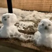 ゴロニャンの画像