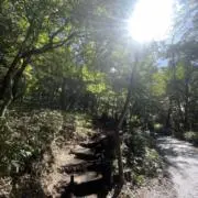 eitoの画像