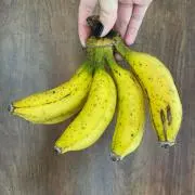 すけの画像