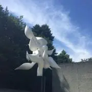 枝