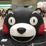 コロンの画像