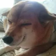 りんコロ☆