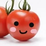ぷちとまと