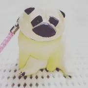 ぷにちゃんの画像