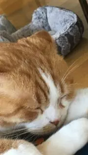 むーさんの画像
