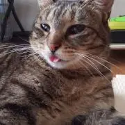 なも