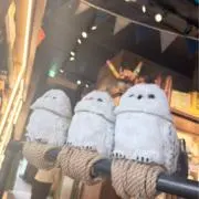 りなの画像